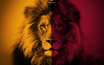 DB电竞快讯-佩德里再秀马赛回旋