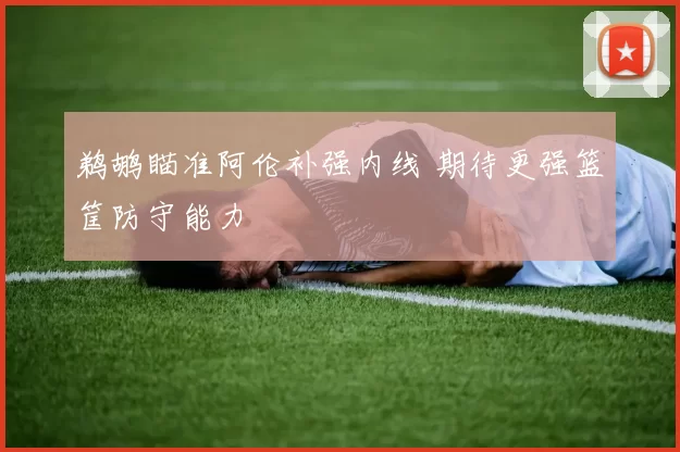 鹈鹕瞄准阿伦补强内线 期待更强篮筐防守能力