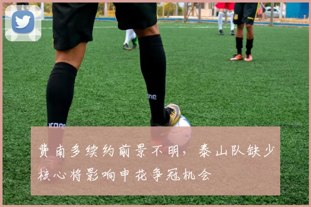 费南多续约前景不明，泰山队缺少核心将影响申花争冠机会